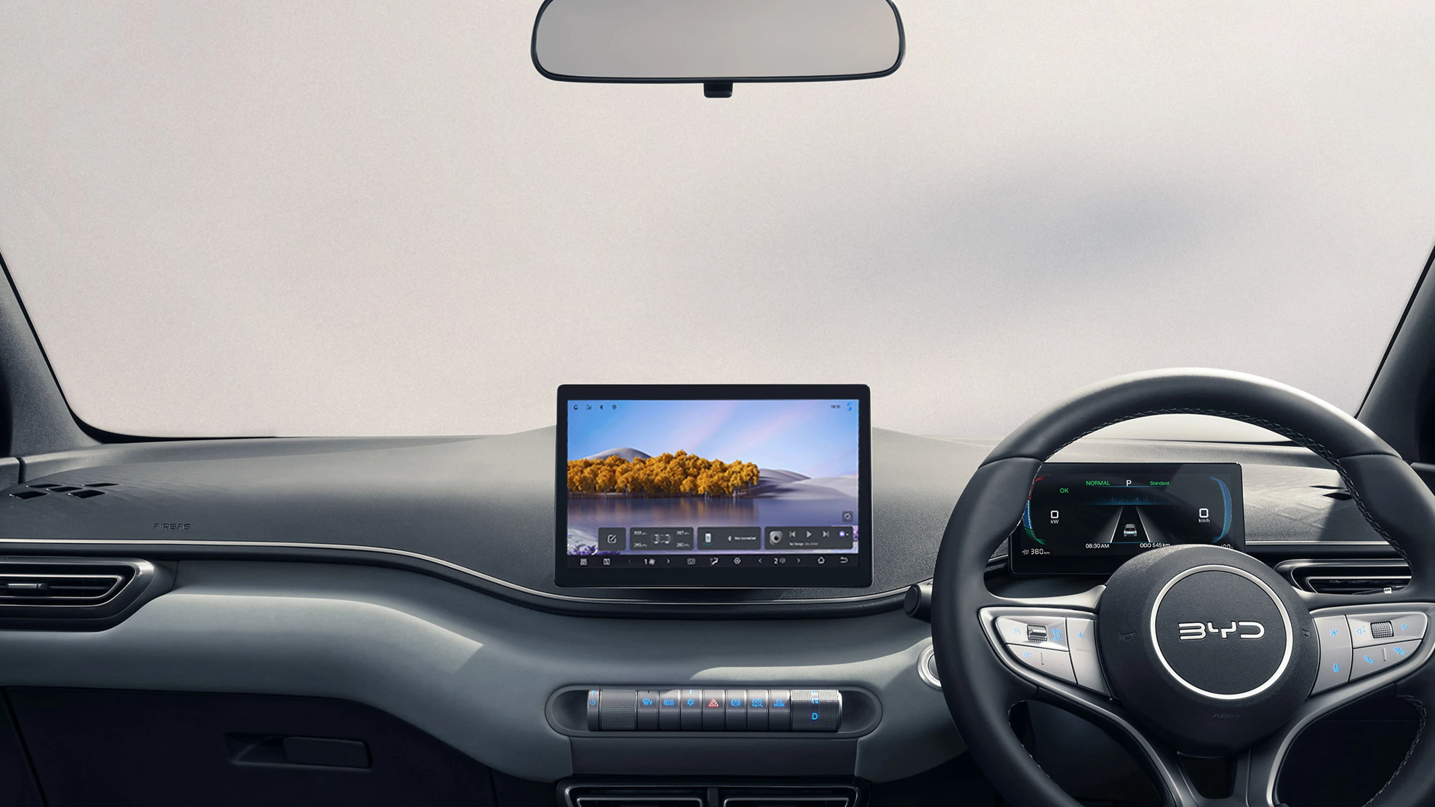 BYD ATTO 1 Interior